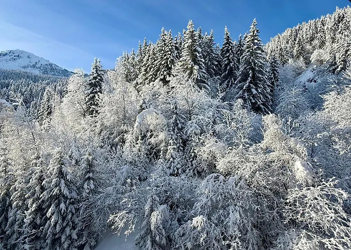 公寓 Loze View 谷雪维尔