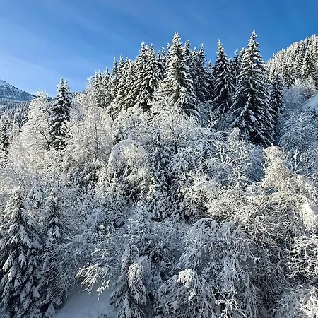Apartment Loze View Courchevel